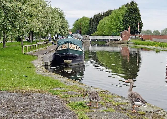 Holiday home Mallard Selby