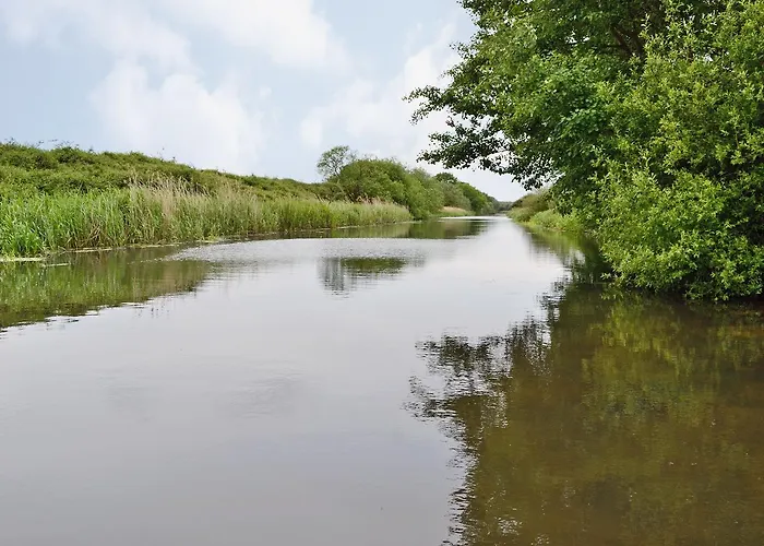 Mallard Dom wakacyjny